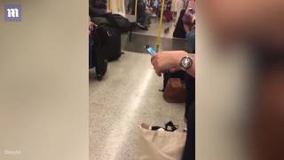 Passengers Go Nuts As Squirrel Runs Riot On London Underground Passengers Go Nuts As Squirrel Runs Riot On London Underground