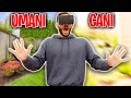 PROVO LA VISTA DEI CANI! *Ho quasi vomitato 🤢*
