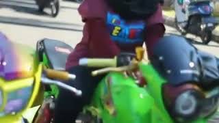 Cewek tiger