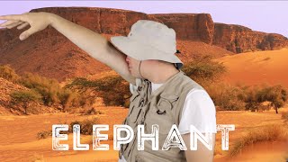 Animal Facts: Elephant