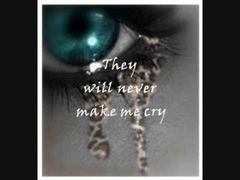 The Cranberries-Animal Instinct Lyrics
