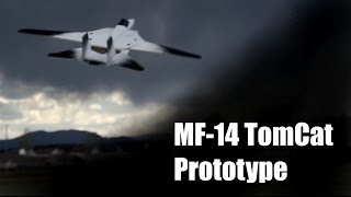 MESArc - MF-14 Tomcat Prototype