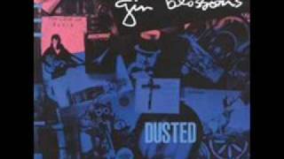 Watch Gin Blossoms Slave Dealers Daughter video