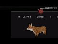 Wild Animals Online Lvl 20 Fox!!