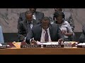 UN Security Council Calls for Gaza Cease-fire
