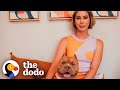 Woman Fosters A Pittie And Has No Idea How Much Her Life's About To Change | The Dodo Foster Diaries