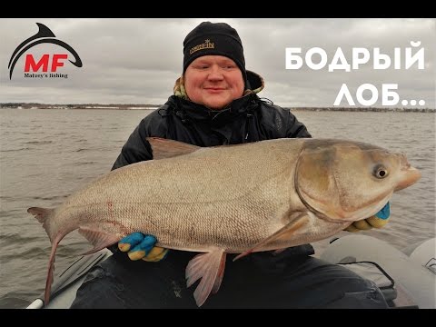 рыбалка с братьями багровыми рыбалка вместе с братьями багровыми