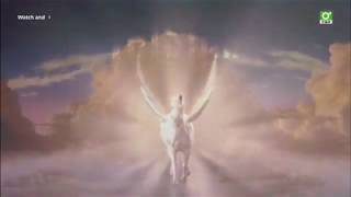 The Trumpet Of The Swan - Fox Family Movies Intro