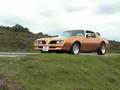 Pontiac Firebird 1978 Esprit