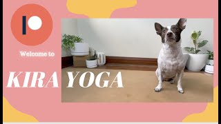Join My Patreon I Kira Yoga