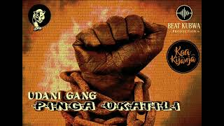 Udani Gang - Pinga Ukatili Official Audio Music