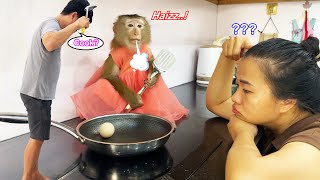 Please.help Lyly Monkey Lyly Is Disappointed Because The Cameraman Doesnt Know How To Cook For Her