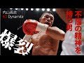 ボクシング 内山高志 チャンピオン KO Dynamaite 爆裂集 不屈の精神を持つ男 内山 uchiyama takashi TVTKYO