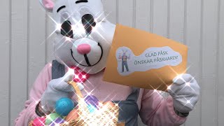 Påskharen Startar Äggjakten - Och Busar Lite