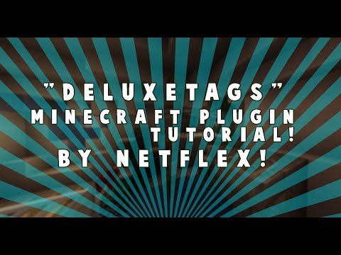 How to Use and Install: DeluxeTags for Spigot: Minecraft
