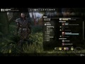 Elder Scrolls Online - Templar Veteran Best DPS Guide (Best Templar DPS Build)