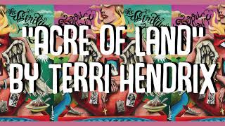 Watch Terri Hendrix Acre Of Land video
