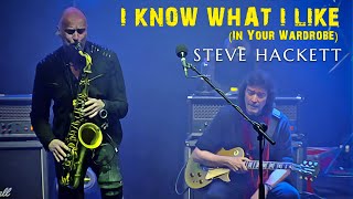 Watch Steve Hackett I Know What I Like video