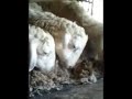 image Domba Lahap Makan Gedebog Pisang