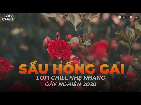 Sầu Hồng Gai (Lofi Ver.) ♪ Jombie x Tkan ♪ Lofi Chill Nhẹ Nhàng