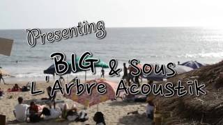 Concert to Protect Mamelles Beach - BIG & Sous L'Arbre Acoustik