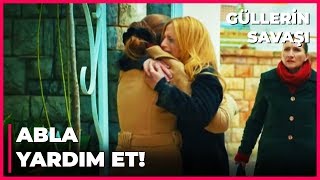 Gülfem, Mesudenin Kollarında Teselli Buldu Güllerin Savaşı 67. Bölüm