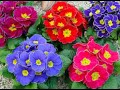 Watching winter turn to spring! - Spring ecards - Seasons Greeting Cards Watching winter turn to spring! - Spring ecards - Seasons Greeting Cards