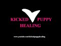 Kicked Puppy Healing Episode 2 -- Trust Issues With First Impressions of Others