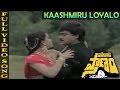 Kaashmiru Loyalo Video Song | Pasivadi Pranam Movie | Chiranjeevi, Vijayasanthi, Sumalatha