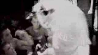 Watch Ten Yard Fight Proud To Be Straight video