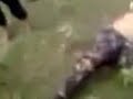 image Tentera Malaysia Penceroboh Sulu
