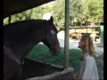 A cavallo nel parco di Veio