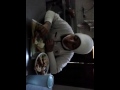 Ijah Maem Koyo Marinir images Ijah Maem Koyo Marinir