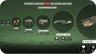 The World's Deadliest Animals Comparison 2018