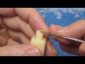 Primeiro Pré-molar Inferior
