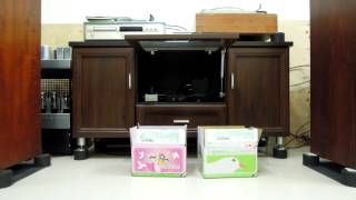 Watch Sara K Vincent live video