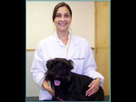 Dr  Malik On The Radio- What Pets Can Teach Humans About Health And Wellness