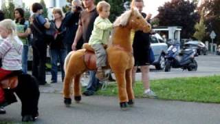 Ponny Ride