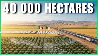 Le Mégaprojet Agricole Italien En Algérie Franchit Une Étape