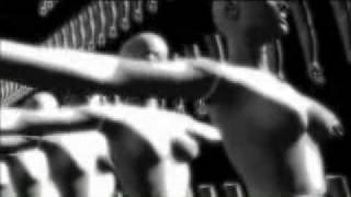Watch Little Birdy Bodies video
