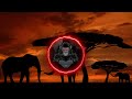 BeatQueche - The ZEN of Africa [Dark Monkey Music]