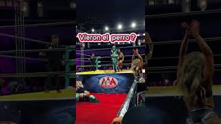 Lola Vice Vs La Hiedra