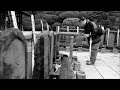 Tomb Of 47 Ronin images Tomb Of 47 Ronin