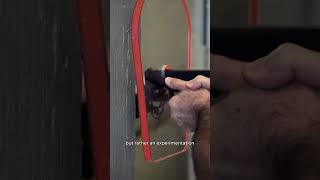Introducing The Tae Shield