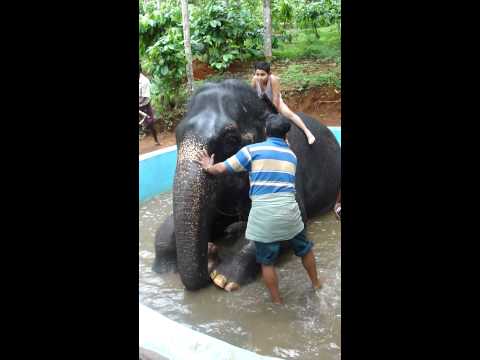 Hathi mera Sathi