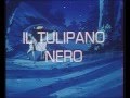 Il Tulipano Nero.1984.avi
