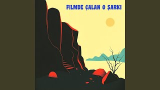 Sevil Neşelen Sevil De Sevme