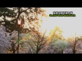 弘前公園早朝の桜