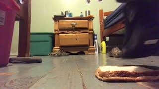 Bread Crust With Converses Midterms