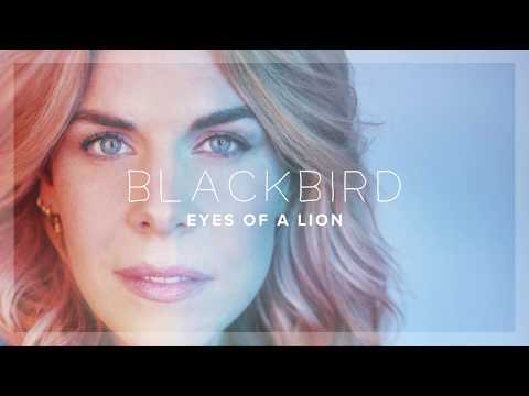 Blackbird (Merel Koman) - Eyes Of A Lion